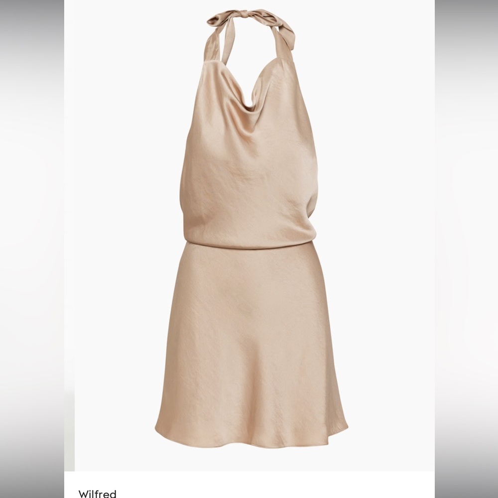 Aritzia Wilfred Feya Dress